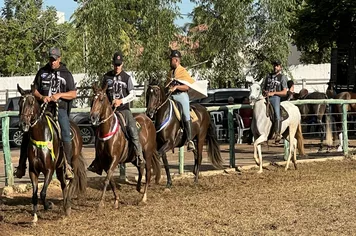 3ª Copa de Marcha de Cavalos Mangalarga agitou o Parque de Exposições de Pirapora